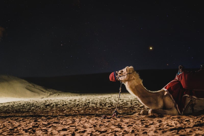 Dubai, United Arab Emirates